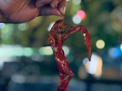 -蚝翅·海鲜粥·烧烤·宁夏滩羊季(玉米楼店)