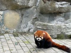 -常州淹城野生动物世界