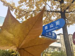 -南山鲜虾面·活鲜小馆·海味大连菜(南山总店)