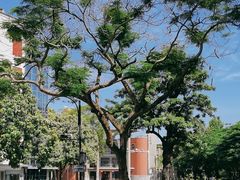 -厦门大学(思明校区)