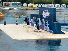 -秦皇岛乐岛海洋王国