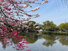 -无锡蠡湖国家湿地公园-蠡园