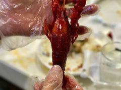 蒸汽龙虾-虾弄弄海派小龙虾·牛羊蝎子火锅