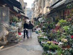 -苏州市皮市街花鸟工艺品市场