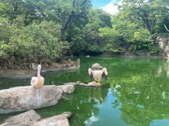 -昆明动物园