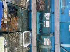 -考记泥焗鸡农庄·海鲜(北洛秘境店)