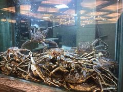 -海逸海鲜酒家(古北店)