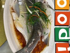 -津津菜馆(绝没分店)