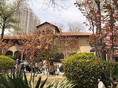 -静园(和平区)