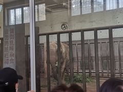 -保定市动物园
