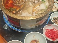 -大白羊蝎子馆(后沙峪山姆店)