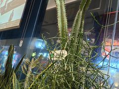 -隅乐胡椒虾·台湾菜·团建(皇岗店)