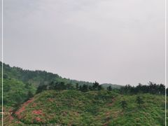 -木兰云雾山