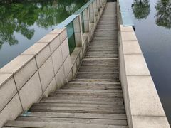 -鄱阳湖国家湿地公园