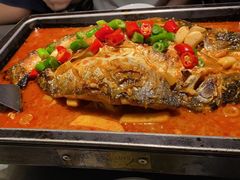 -炉鱼(亲橙里店)
