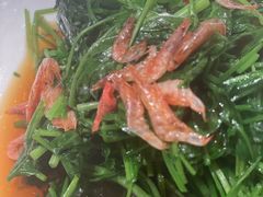 时蔬-红城阁·上海味道(四平路店)