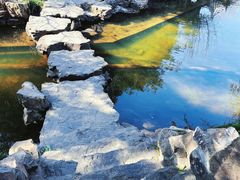 -水绘园