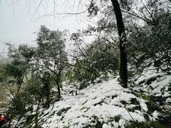 -九峰山