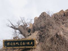 -大槐树寻根祭祖园