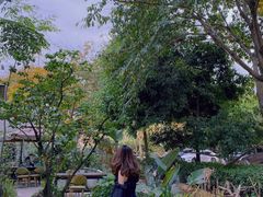 -三圣花乡旅游区