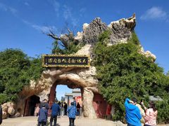 -大槐树寻根祭祖园