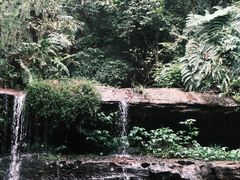 -蜀南竹海景区