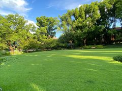 -申粤轩·手工点心·金牌烧味·经典粤菜(丁香花园店)