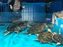 -泉城欧乐堡海洋极地世界