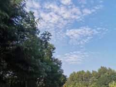 -四里河滨水生态公园