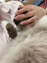-手艺人不办卡美甲美睫