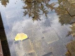 -上海浦东嘉里大酒店