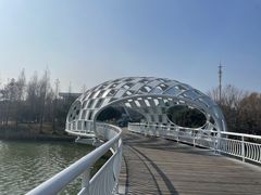 -同里国家湿地公园