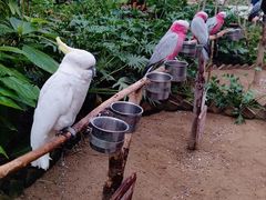 -南宫五洲植物乐园