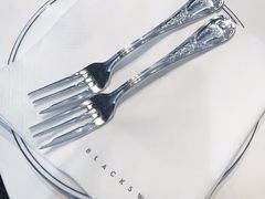 -BLACKSWAN黑天鹅(环球店)