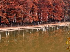 -汉水公园
