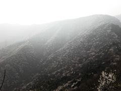 -北京鹫峰国家森林公园