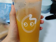 -CoCo都可(骆家庄新店)