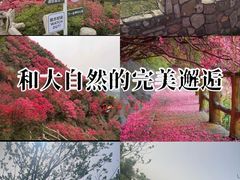 -木兰云雾山