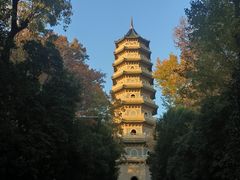 -灵谷景区