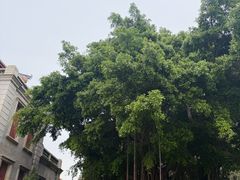 -厦门大学(思明校区)