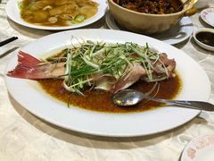 -凤城礼记鱼翅海鲜酒家(新马路总店)