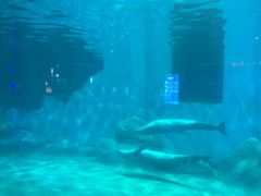 -福州罗源湾海洋世界旅游区