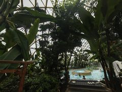 -麦积山温泉