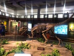 -自贡恐龙博物馆