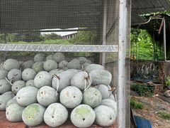 -红旗山庄(圭峰山店)