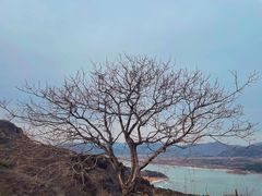 -十三陵水库