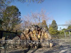 -紫竹院公园-东门停车场