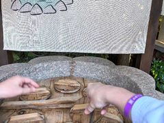 -天目湖涵田度假村
