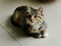 -观音桥百香林西点