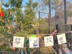 -武汉动物园
